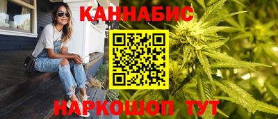 индика Донецк