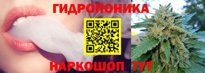 индика Донецк