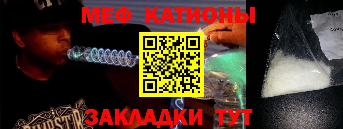 Меф Мичуринск