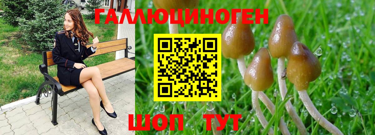 Галлюциногенные грибы MAGIC MUSHROOMS  Вход с VPN  Мичуринск 